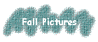 Fall Pictures